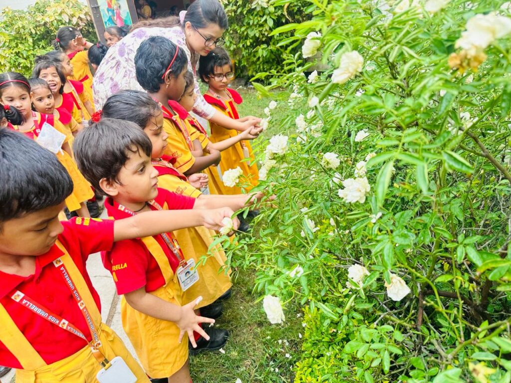 Why Preschool Education Is the Foundation for Lifelong Learning