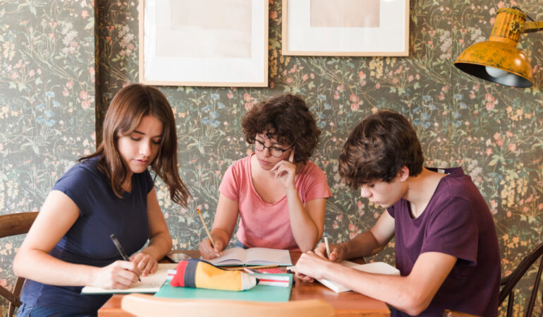 hire someone to take online proctored exam