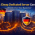 cheap dedicated server germany​