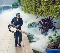 Mosquito Control Services in Lahore