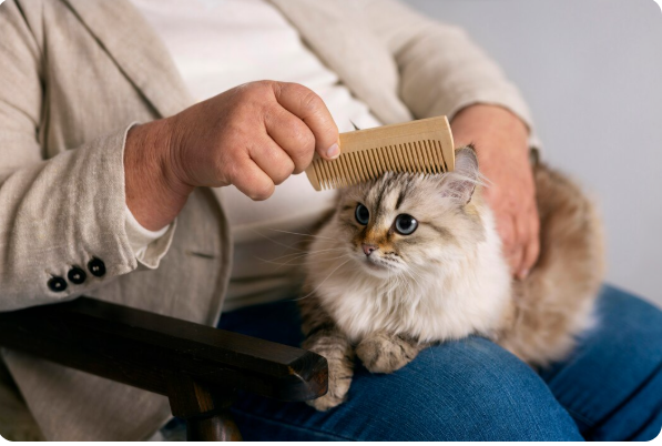 Best Kitten Shampoo