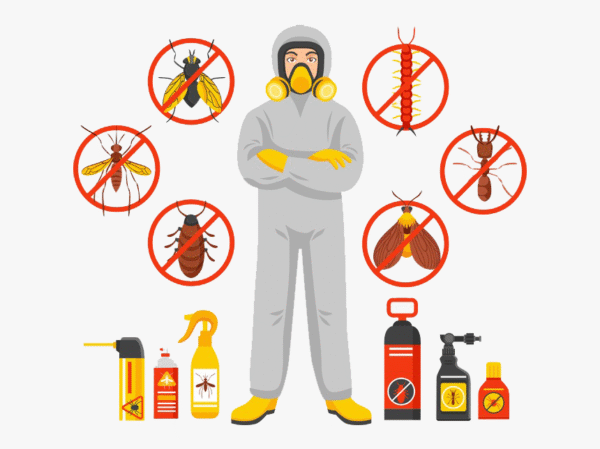 Pest Control Services